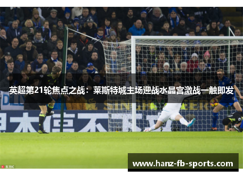 英超第21轮焦点之战:莱斯特城主场迎战水晶宫激战一触即发 英超第21轮焦点之战:莱斯特城主场迎战水晶宫激战一触即发