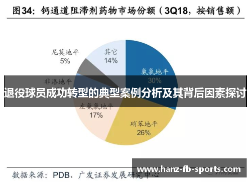 退役球员成功转型的典型案例分析及其背后因素探讨