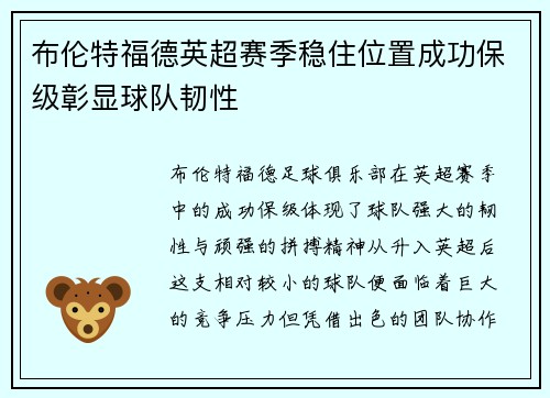 布伦特福德英超赛季稳住位置成功保级彰显球队韧性